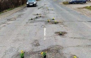 Квітковий флешмоб: для Порошенка на Закарпатті висадили вазони на дорогах (фото)