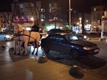 У Львові на Lanos наїхала карета з кіньми (відео)