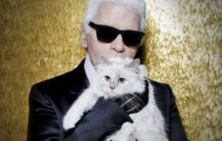 Кішка Лагерфельда запускає власну колекцію (відео)