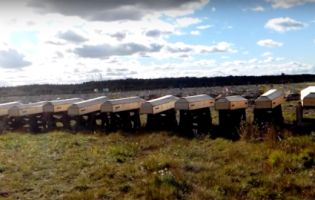 «Нестругані дошки»: показали масовий похорон вояк із РФ, загиблих у Сирії та Україні (відео)