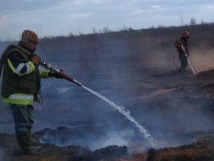 На Волині горить торф’яник (фото)