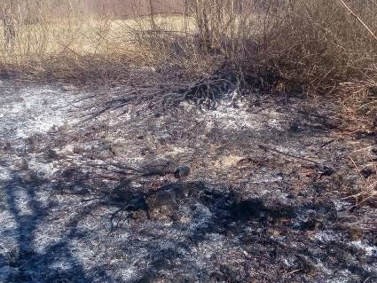 У Луцьку горить парк відпочинку: люди гасять пожежу власними силами (фото)