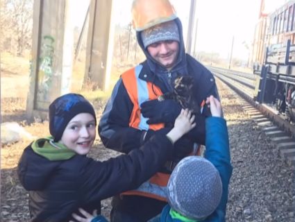 У Рівному врятували кота, який чотири доби просидів на опорі мосту (відео)