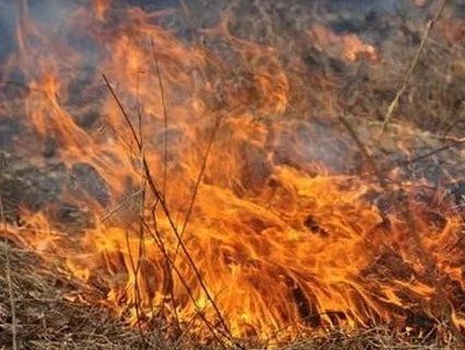 На Волині виникло 43 пожежі через необережність і паління сухої трави
