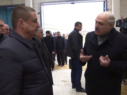 «Батя» Лукашенко звільнив губернатора через нечищену худобу (відео)