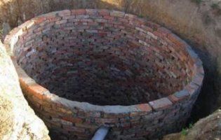 На Закарпатті у вигрібній ямі втонула дитина