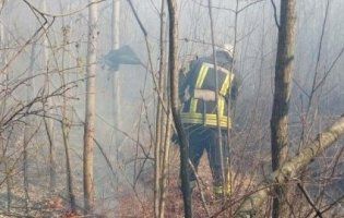 126 пожеж: на Волині гасили сухостій і торф’яник