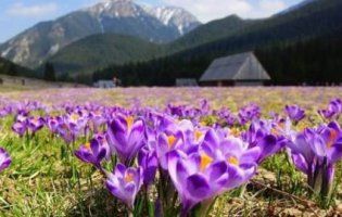 9 квітня: якщо сьогодні з кимось посваритесь, то більше ніколи не помиритесь