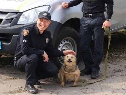 Соціальний проект: у Луцьку патрульні фотографувалися із собаками