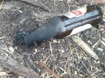 На Львівщині багатодітній матері, яка перешкоджала незаконній вирубці дерев, спалили стайню з тваринами