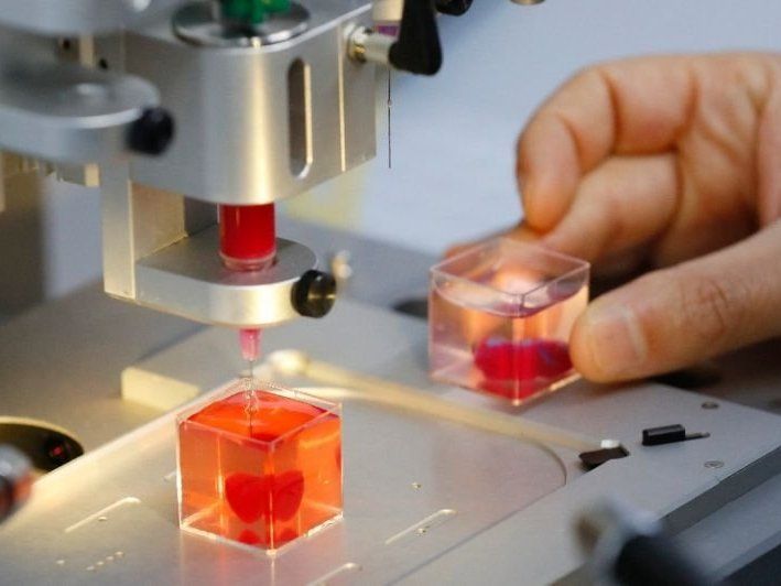 Вчені вперше надрукували живе серце на 3D-принтері (фото)