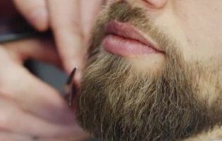 Порівняли: у чоловічій бороді бактерій більше, ніж у собачій шерсті