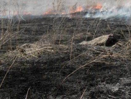 На місці спалювання сухостою на Рівненщині знайшли тіло чоловіка