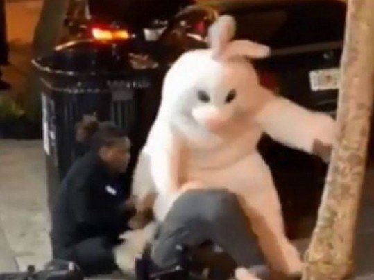 Не такий уже білий і пухнастий: пасхальний зайчик засвітився у вуличній бійці (відео)
