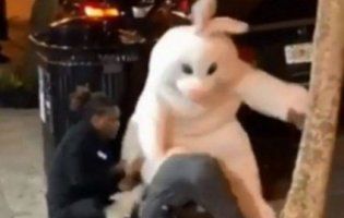 Не такий уже білий і пухнастий: пасхальний зайчик засвітився у вуличній бійці (відео)