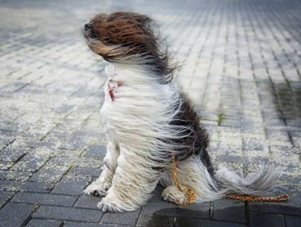 На Західній Україні оголосили штормове попередження