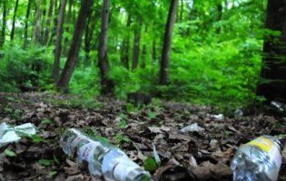 Лісовий санітар: на Рівненщині хлопець очистив ліс від 7 тонн сміття