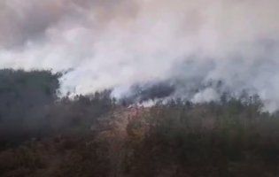 «SOS!»: на Рівненщину з Білорусі суне величезна пожежа