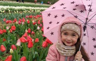 «В гумаках серед тюльпанів»: «Волинську Голландію» у дощ відвідали сотні людей (фото)