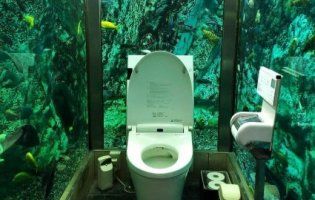 Відвідувачі приходять у японське кафе заради... туалету за $250 тисяч