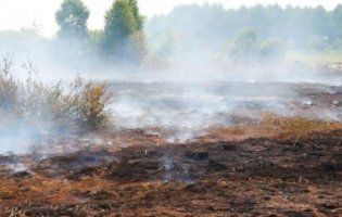 На Волині другу добу горить торфовище (відео)