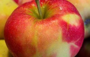 Які хвороби допоможе подолати одне яблуко в день