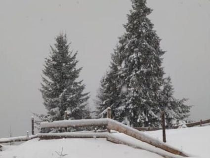 На Івано-Франківщині випало до десяти сантиметрів снігу