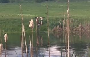 У Кропивницькому копи врятували жінку, яка в одязі ішла у глиб водойми (відео)
