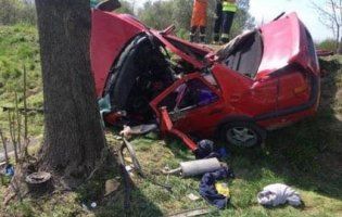 Авто перебило об дерево: в ДТП у Польщі загинув українець (фото)