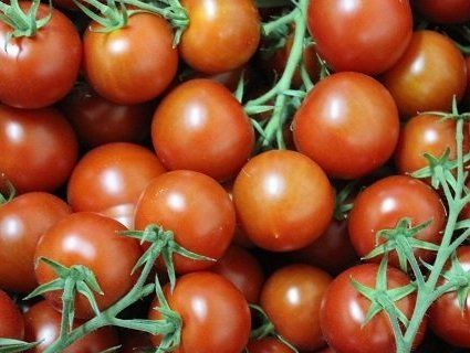 Боротьба з раком: який продукт спинить хворобу