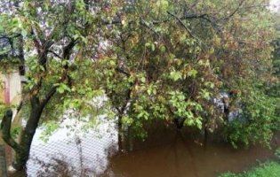 Більше метра води: на Рівненщині затопило 5 районів (фото)