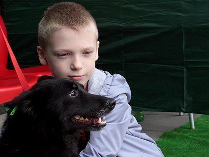 У Луцьку пройшов фестиваль «Подаруй собаці дім»: 11 безпритульних собак знайшли своїх господарів (фото, відео)