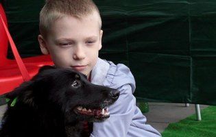 У Луцьку пройшов фестиваль «Подаруй собаці дім»: 11 безпритульних собак знайшли своїх господарів (фото, відео)