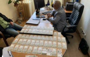 20 мільйонів гривень застави: арештовані чиновники служби зайнятості