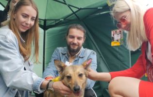 На перших «Мокрих носиках» у Луцьку хазяями ощасливили 10 бездомних собак (відео)