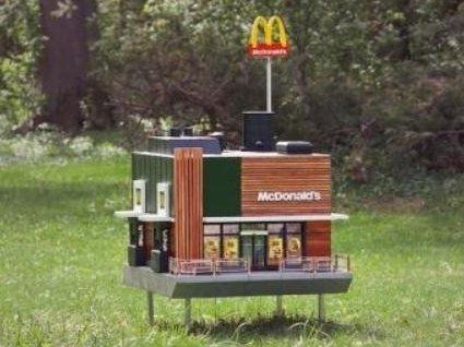 З’явився перший McDonald’s для бджіл (фото, відео)