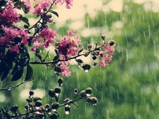 24 травня: якщо сьогодні йде дощ, то ще сорок днів будуть дощовими