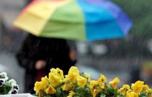 Вихідні дні «потішать» українців дощовою погодою