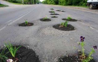 «Справжні клумби»: у Луцьку активісти висадили квіти у ями на дорогах (фото)
