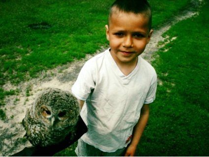 «Гаррі Поттер і Букля»: дошкільник із Полісся приручив сову (фото)