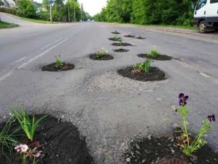 У Луцьку розпочали ремонт вулиці, на якій в ямах активісти посадили квіти (відео)