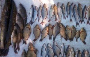 Операція «Нерест»: у волинських браконьєрів вилучили понад 300 кілограмів риби