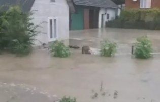 Затоплені будинки і домогосподарства – на Львівщині ліквідовують наслідки злив