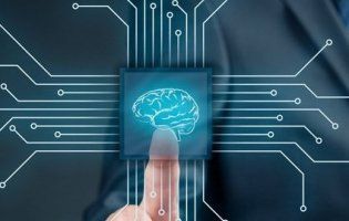 Несподівано: дивна ознака високого інтелекту