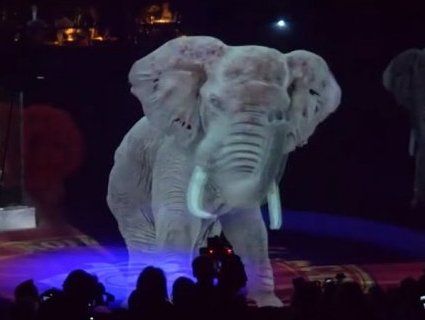 Дорого і гуманно: у німецькому цирку виступи тварин замінили голограмами (відео)