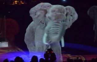 Дорого і гуманно: у німецькому цирку виступи тварин замінили голограмами (відео)