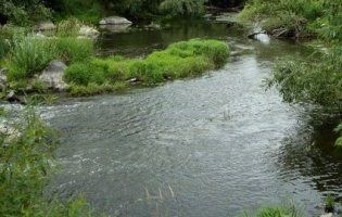 Через ДТП у річку Рось вилилися отрутохімікати