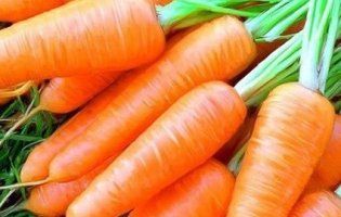 Чоловіча сила: морква покращує потенцію