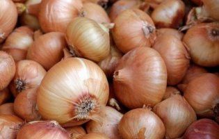 Вже не «золота»: в Україні різко здешевіла цибуля