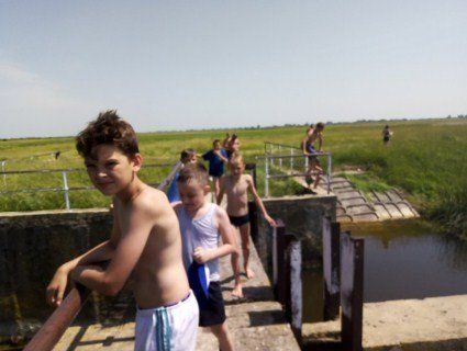 «Тут купаються діти»: у селі на Волині річку отруїли купою курячого посліду (фото)